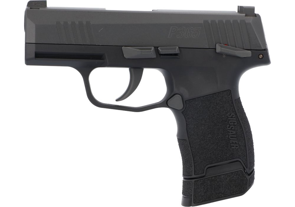 P365 Air Pistol (bb)